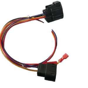 Индивидуальный автомобильный жгут проводов с 12-контактным разъемом, кабель для подключения автомобиля, OEM-замена жгута проводки - Product Image 1