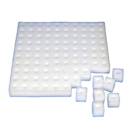 Kit d'éponge de semis hydroponique à motif carré pour la culture de plantes de serre plaqué enduit maison jardin boîtes de plantes vertes/Carton