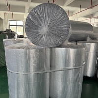 Barrière Radiante Double Bulle en Aluminium Réfléchissant la Lumière, Légère, pour Toitures Métalliques, Installation Facile