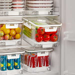 Lot de 3 Contenants de Rangement pour Réfrigérateur, Boîtes de Conservation pour Fruits et <span class=keywords><strong>Légumes</strong></span>, Bacs de Rangement Alimentaire pour Activités Extérieures - Product Image 4