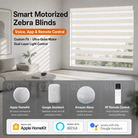 Tirai Zebra Poliester Daur Ulang Premium Bermotor dengan Alexa Cloud Dancer Putih untuk Dekorasi Kamar Tidur dan Ruang Belajar