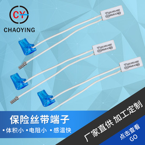 Thermostat tubulaire à tête plate 250V 15A pour chauffe-eau et appareils électroménagers - Product Image 5