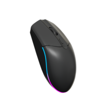 Ratón Óptico Inalámbrico Silencioso Banda, Ergonómico, 800-1600 DPI, Retroiluminación RGB Conmutable, Ratón para Juegos para PC, Uso en Oficina y Negocios