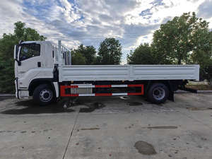 Camión de Carga Ligero GIGA <span class=keywords><strong>FVR</strong></span> Totalmente Nuevo, Cabina Sencilla con Cama para el Conductor, 240HP, 4 Toneladas, Camión de Carga Mini de 13 Toneladas, Nuevo, Volante a la Izquierda, <span class=keywords><strong>en</strong></span> <span class=keywords><strong>Venta</strong></span> - Product Image 2