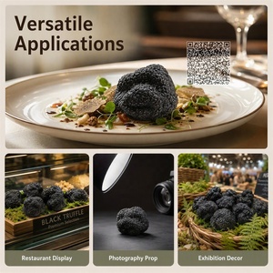 Modèle <span class=keywords><strong>de</strong></span> truffe noire réaliste pour <span class=keywords><strong>l</strong></span>'affichage en musée d'<span class=keywords><strong>histoire</strong></span> naturelle, exposition agricole, festival <span class=keywords><strong>de</strong></span> la truffe, accessoire d'exposition, 5 tailles - Product Image 6