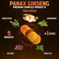 Complément de Ginseng Panax Extra Fort à Marque Blanche, 600mg avec 10 Ginsenosides pour l'Énergie, la Concentration et le Soulagement du Stress - Meilleure Vente