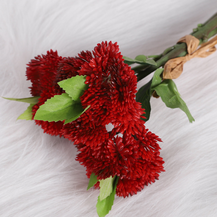 Hydrangea fruit, red