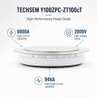 Diode redresseuse haute puissance TECHSEM S2GHM4G 8000A 2000V, montage par serrage/pression pour alimentation redresseuse mégawattes