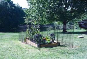 Bordure <span class=keywords><strong>de</strong></span> clôture <span class=keywords><strong>de</strong></span> jardin multi-usages en métal décoratif Offre Spéciale aucune <span class=keywords><strong>barrière</strong></span> <span class=keywords><strong>de</strong></span> <span class=keywords><strong>lit</strong></span> <span class=keywords><strong>de</strong></span> fleur <span class=keywords><strong>de</strong></span> fouille - Product Image 3