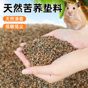 Cama de cáscara de trigo sarraceno para hámster, refrescante de verano, absorbente, desodorizante, ecológica, suministros para animales pequeños - Product Image 3