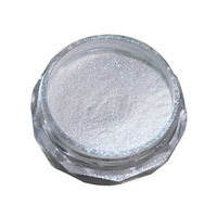 Nouvelle Poudre Magique Effet Miroir Nacré Ultra-Fine et Facile à Appliquer Argent-Blanc Clair de Lune pour Salon de Manucure 2026