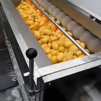 Groenten En Fruit Automatische Industriële Aardappel Gember Lotuswortel Papaja Zoete Aardappel Was-En Schilmachine