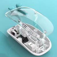 Souris sans fil ergonomique 3D transparente Macaron RGB, double mode 2.4g+BT, légère, portable, rechargeable