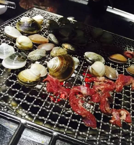 Factory Wholesale Disposable BBQ Grill Mesh <b>Net</b>, Custom Size Disposable Barbecue <b>Wire</b> Mesh for Outdoor Grilling - Product Image 5