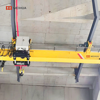 Grúa aérea Henan Weihua Control remoto 1-32ton Low Headroom NLX modelo europeo grúa aérea de una sola viga precio