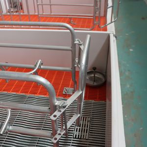 Cages pour porcs, stylo de mise bas pour porcelets avec plancher à lattes en plastique pour pépinière de bétail - Product Image 3