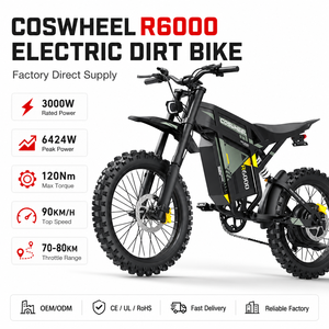Coswheel para Motocicleta R6000, 6424W, 60V30Ah, Cuadro 70/100, Neumático 19M/C, Freno de Disco Hidráulico, LED, NFC, 80km/h - Product Image 1