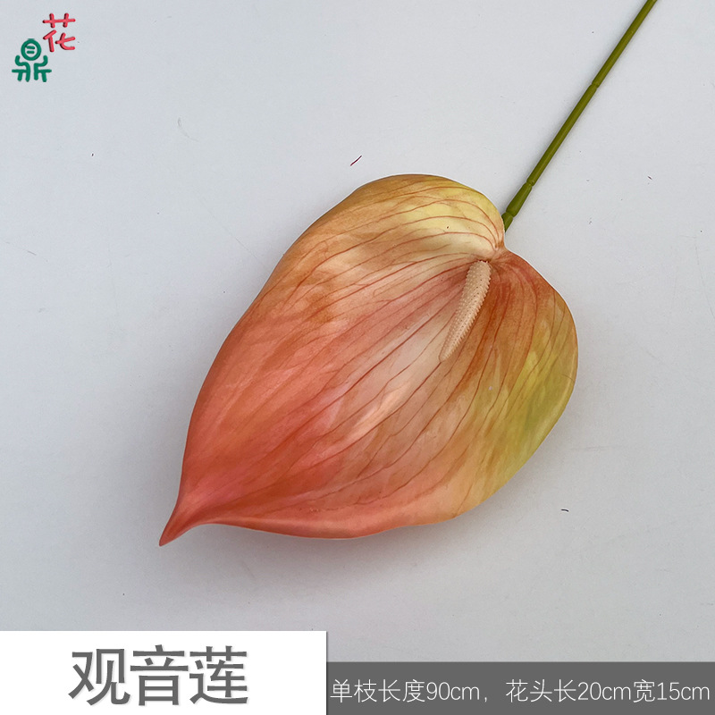 Guanyin lotus zl orange