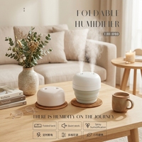 Mini humidificateur d'air portable à ultrasons, diffuseur de brume, stérilisateur, atomiseur USB, module de chambre à coucher, rafraîchisseur d'air
