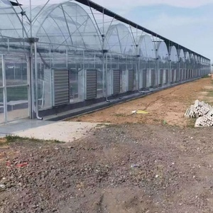 Serre agricole multi-spans de grande taille pour tomates, avec couverture en polycarbonate et structure métallique, <span class=keywords><strong>prix</strong></span> compétitif, horticulture YPWS YPLK-18 - Product Image 4