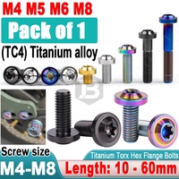 Sekrup Plat Nomor Sepeda Titanium Berkualitas Tinggi Grade 8.8 Ti Bolts T25 Torx dari China