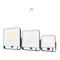 Reflector LED para Exteriores IP65 Resistente al Agua de 100W 150W 200W 300W para Jardín, Pared, Cancha de Bádminton y Baloncesto