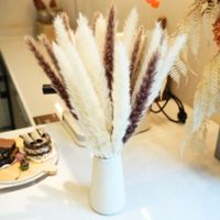 Rumput Reed Kering Alami Kecil untuk Dekorasi Vas, Rangkaian Bunga Pernikahan, Dekorasi Rumah, Grosir
