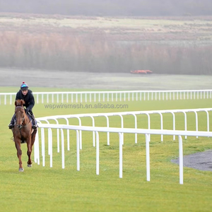 UV kháng cao an ninh <span class=keywords><strong>PVC</strong></span> Ngựa Đua theo dõi lan can hàng rào - Product Image 1