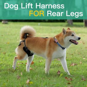 Large Dogs Lift Anti Slip Sling <span class=keywords><strong>Rear</strong></span> Hind Legs <span class=keywords><strong>Harness</strong></span> para Idosos Deficiências e Lesões Pets - Product Image 5