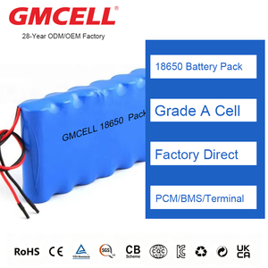 ชุดแบตเตอรี่ลิเธียมไอออน 18650 สำหรับจักรยานไฟฟ้าและสกู๊ตเตอร์ไฟฟ้า 12V/12.8V ผู้ผลิตแบตเตอรี่ 18650 - Product Image 1
