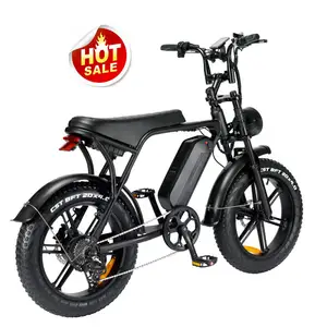Volwassenen E Bikes 2022 Elektrische Fiets Mid Drive 16Inch 600W Elektrische Stad Fietsen Ouxi 48V 750W fat Tire E Bike
