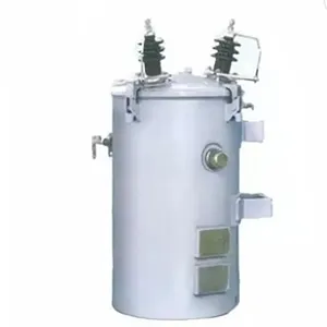 Hot Sale Custom Resin-insulated dry transformer Pole Mounted Single Phase Distribution Transformer 10KVA