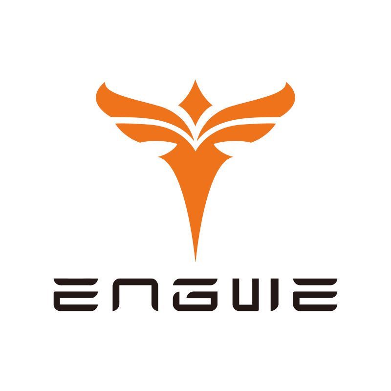 Dingzhou Angli Technology Co., Ltd.