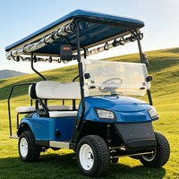 Harga Pabrik Tempat Duduk Payung untuk Mobil Golf Listrik 4 Kursi untuk Hari Cerah