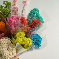 Bunga Beras Awetan Grosir, Bahan Bunga Alami untuk Florist, Toko Bunga, Buket Pernikahan, Rangkaian Bunga, Kerajinan DIY