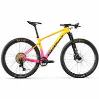 Bicicleta de Montaña de Fibra de Carbono con Transmisión de 12 Velocidades, Frenos Hidráulicos, Pintura Degradada de 29 Pulgadas