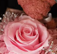 Boîte Cadeau LED Double Porte avec Ours en Fleurs Éternelles et Collier pour la Saint-Valentin, la Remise des Diplômes, Thanksgiving - Design Moderne