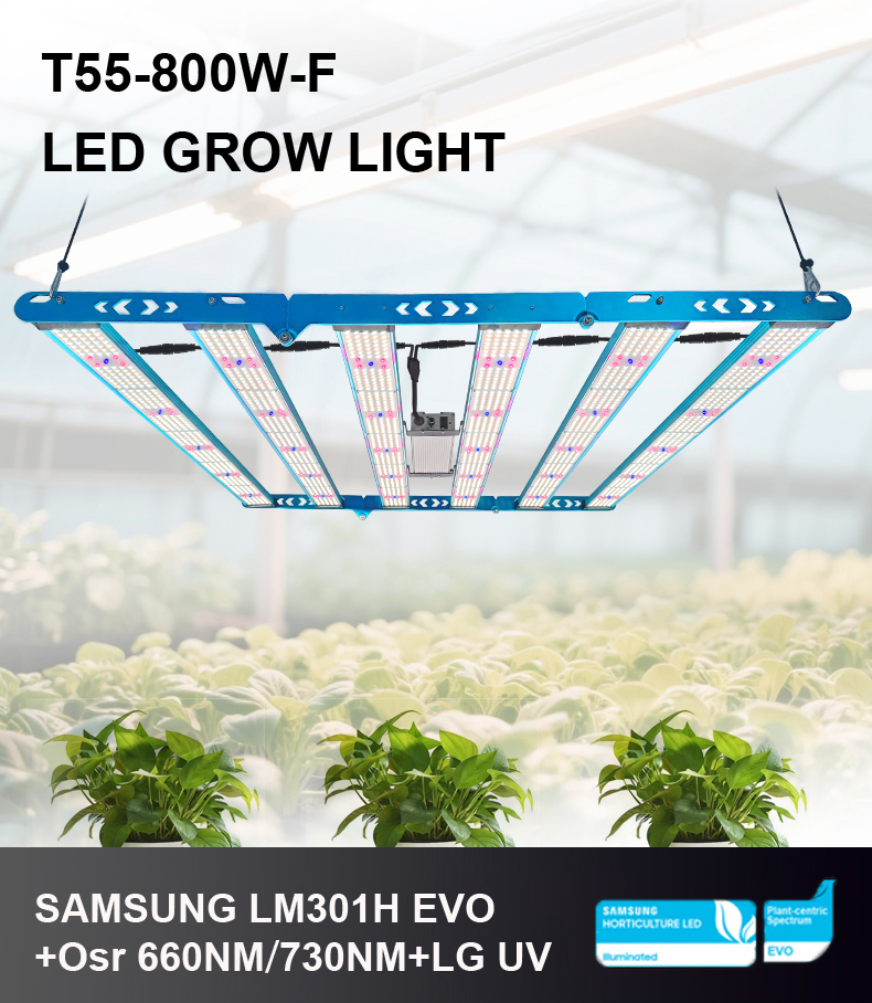 Kingbrite 2025 800W T55 LED Grow Light - Triple-Fold Design