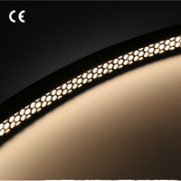 Bande lumineuse LED néon anti-reflet 1616 mm, couleur blanche unie, haute luminosité, certifiée CE, pour la décoration de la maison et des hôtels