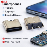 Dukungan Pembelian Satu Atap Kustomisasi Konektor Jack USB Type-C 2 Pin Soket Betina Colokan Vertikal Port Pengisian Daya Cepat Ponsel