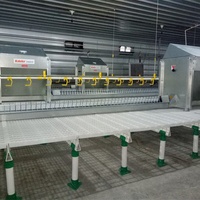 Plancher à lattes en plastique pour poulailler, poulailler pour poulets de chair et reproducteurs, plancher à lattes en plastique pour élevage de volailles