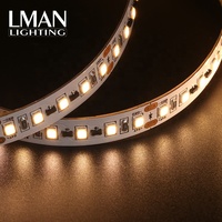 Bande LED SMD 2835 sans chute de tension IP20 pour application de projet, largeur 8 mm, DC 12V 24V 9,6W