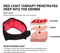 Nouvelle ceinture de massage abdominale électrique intelligente rechargeable par USB 2024 à 5 vitesses, minceur, thérapie par lumière rouge pour le ventre et la taille