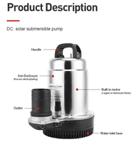 Pompe submersible à vis basse pression DC Solar, personnalisable OEM
