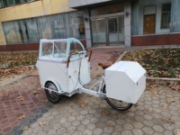 Chariot alimentaire hot dog voiture de jus camion de glace remorque alimentaire personnalisée chariot de nourriture mobile conception e vélo