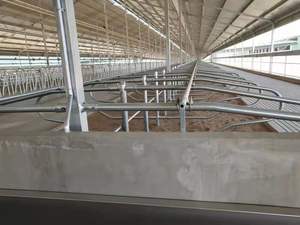 Bucles para diario, sin vaca - Product Image 4