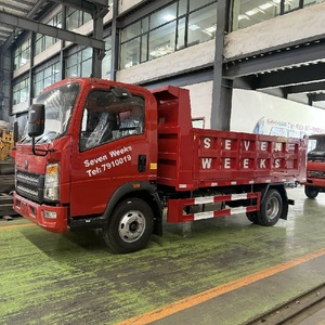 รถบรรทุก HOWO 4x4 ขับเคลื่อนสี่ล้อ 5 ตัน รถดัมพ์ขนาดเล็กสำหรับงานเบา - Product Image 2