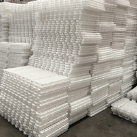 Plancher en plastique à lattes pour volailles, en PP épaissi, pour l'évacuation du fumier de canard, oie, pigeon, dinde, caille, pour élevage en cage