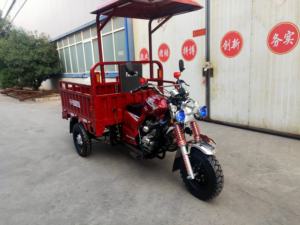 Bonne vente <span class=keywords><strong>moto</strong></span> tricycle à trois roues 150cc 200cc <span class=keywords><strong>moto</strong></span> à 3 roues avec <span class=keywords><strong>tente</strong></span> - Product Image 6