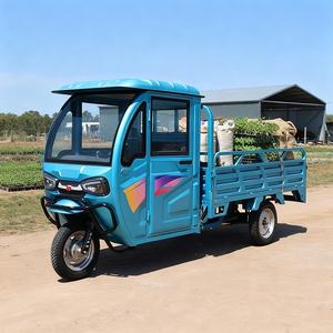 HLD 800 W Zweisitzer Elektro-Lastendreirad mit Kabine und handgekurbeltem Glas-Heber, 60 V geschlossenes Lasten-Dreirad - Product Image 5